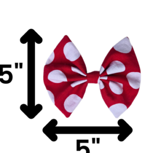 Minnie Mouse Polka Dot Outfit