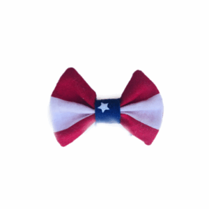 Dog 4th of July Tutu Dress and Bow