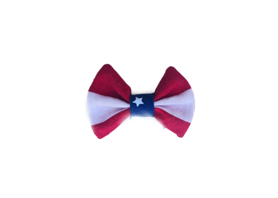 Dog 4th of July Tutu Dress and Bow