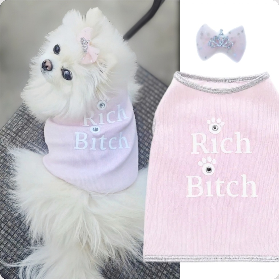 Rich Bitch Glam Dog Shirt & Bow